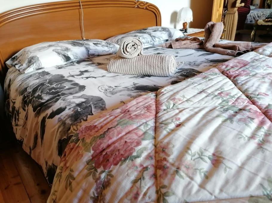 Chalet Del Paese Incantato Moncenisio Zewnętrze zdjęcie